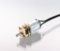 Micro Pile Getriebemotor 1000:1 6Volt