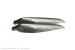 CAM-Carb-Bl.11,0x 8,0